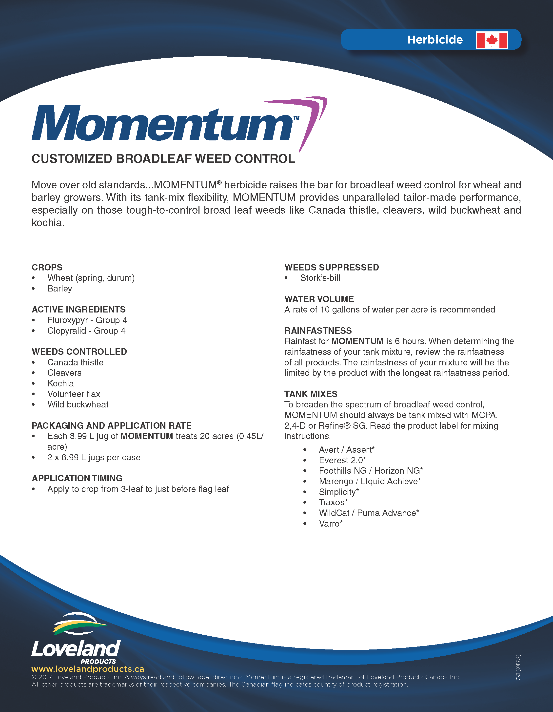 momentum