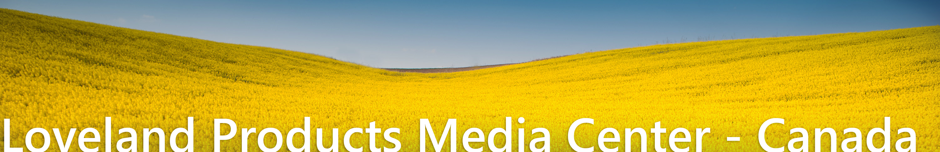 Loveland Products Media Center